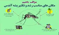  البرزنشینان مراقب بیماری تب دانگ باشند