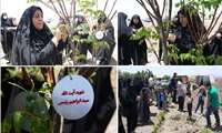 بوستان ثمره های زندگی امروز در پردیس دانشگاه میزبان مادران شاغل در دانشگاه علوم پزشکی البرز بود